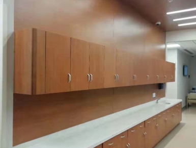 医疗洁净板案例