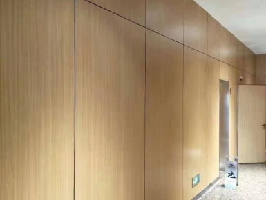 医疗洁净板案例