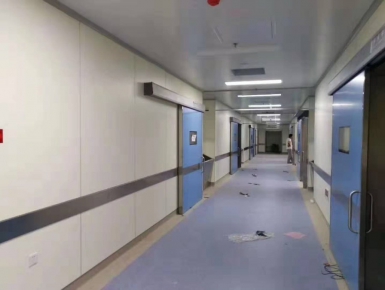 医疗洁净板案例